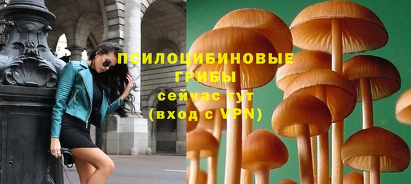 2c-b Тында