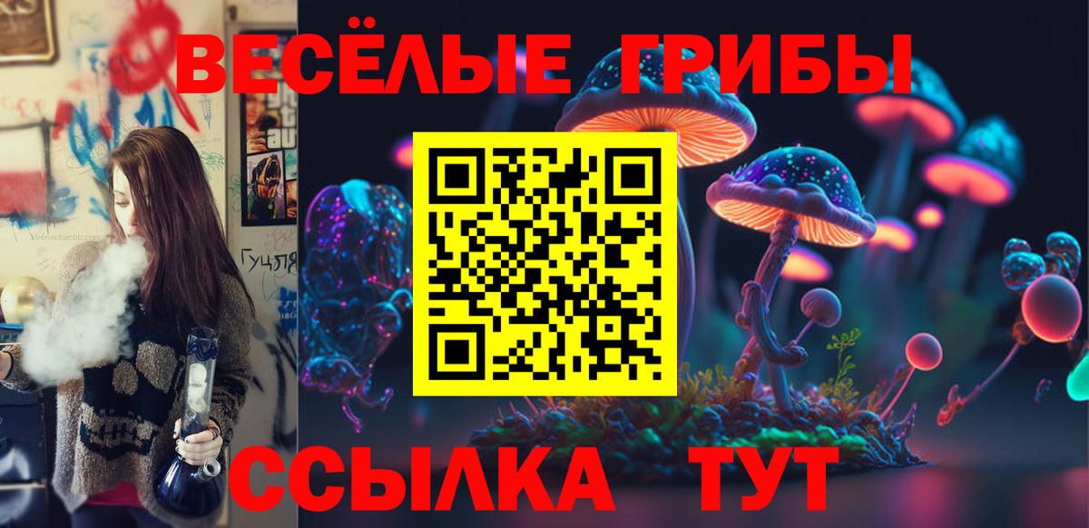 Псилоцибиновые грибы Psilocybe  Вход с VPN  Галлюциногенные грибы Magic Shrooms  Бузулук 